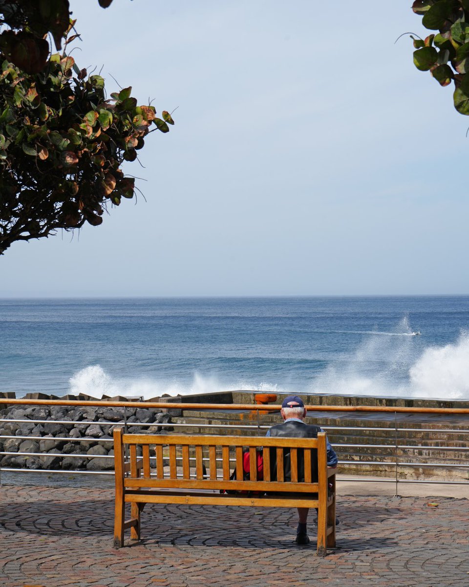 Turismo La Laguna tweet media