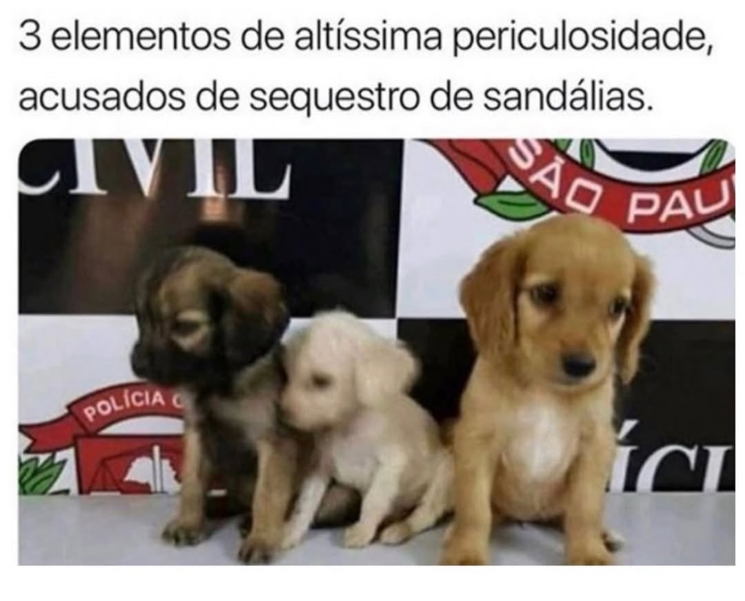 Delegado Bruno Lima tweet media