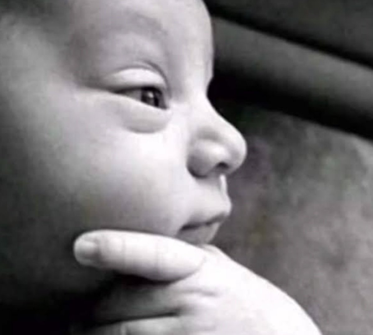 🪴Dra KUREHA🪴 tweet media