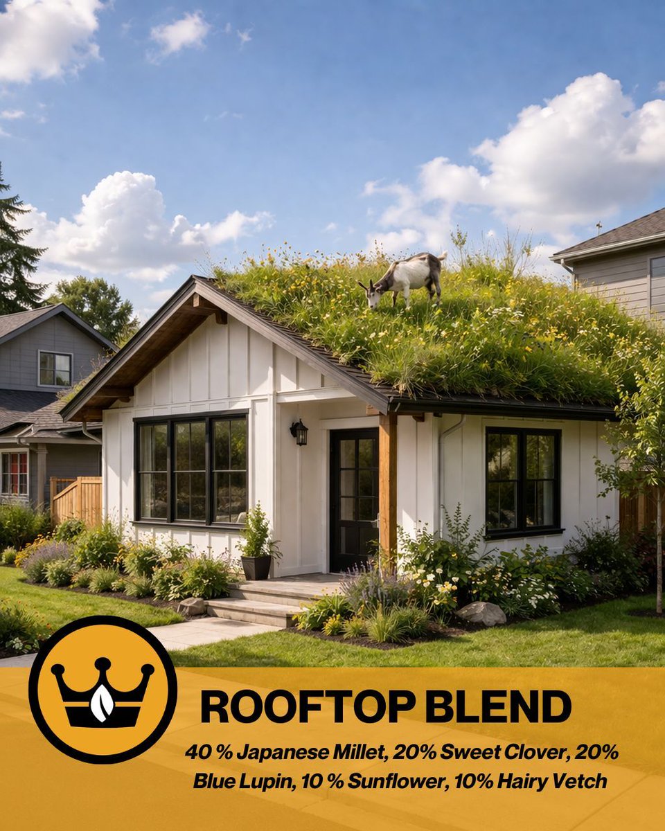 Imperial Seed tweet media