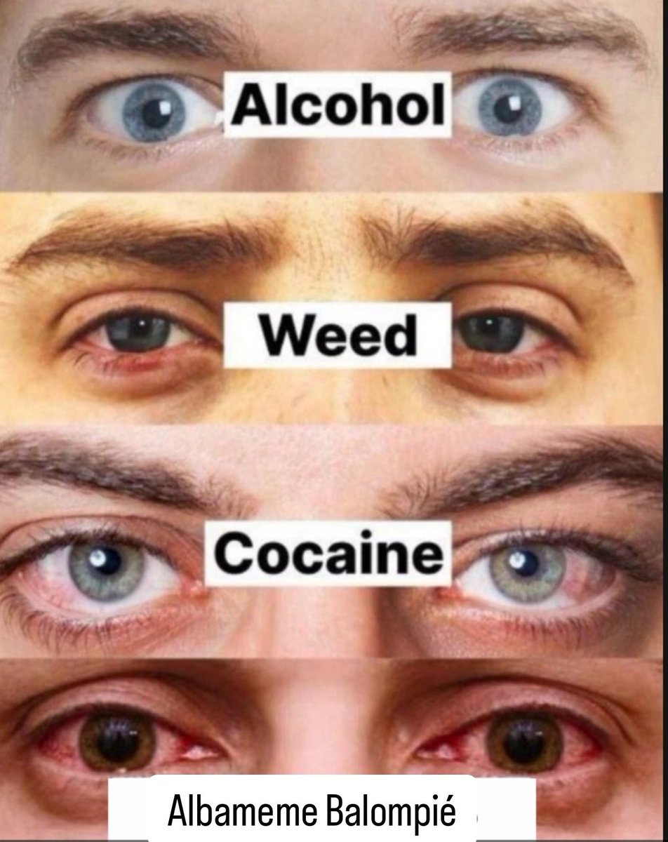 León Morata Ydáñez tweet media