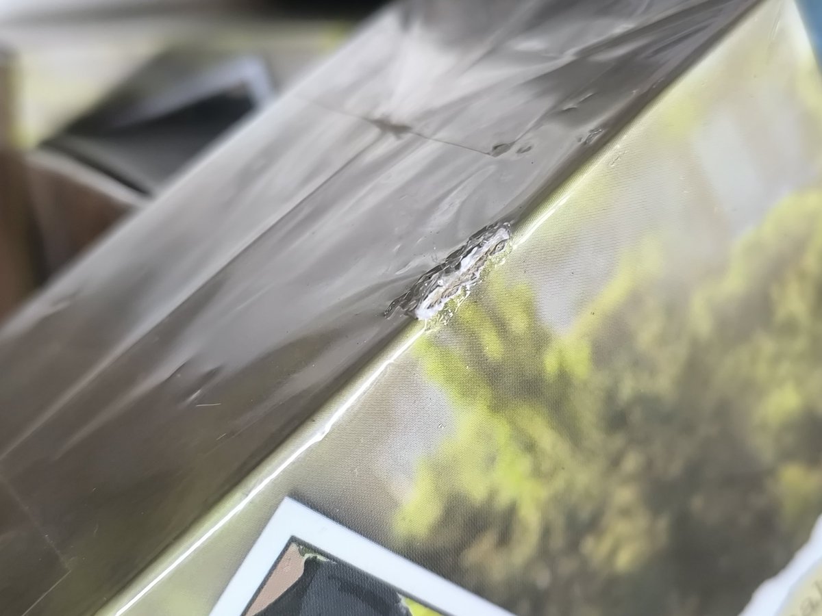 ًsolace 🪬 tweet media