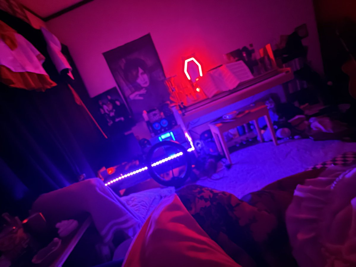 lc5_00's tweet photo. 私の部屋頭悪そうすぎる。 https://t.co/pKBPzJnkB1