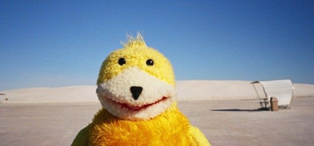 Clov! 🍉 tweet media