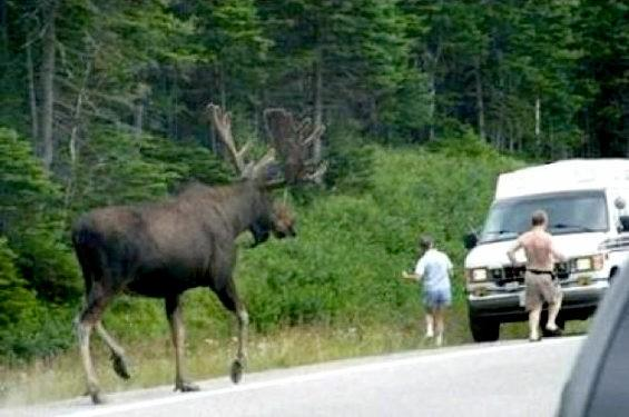 いちまる＠『お人好し領主』1巻発売！ tweet media