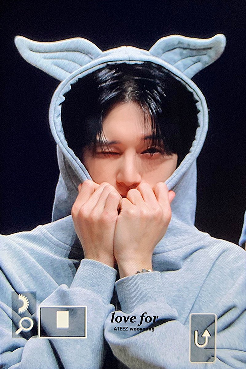 love for tweet media