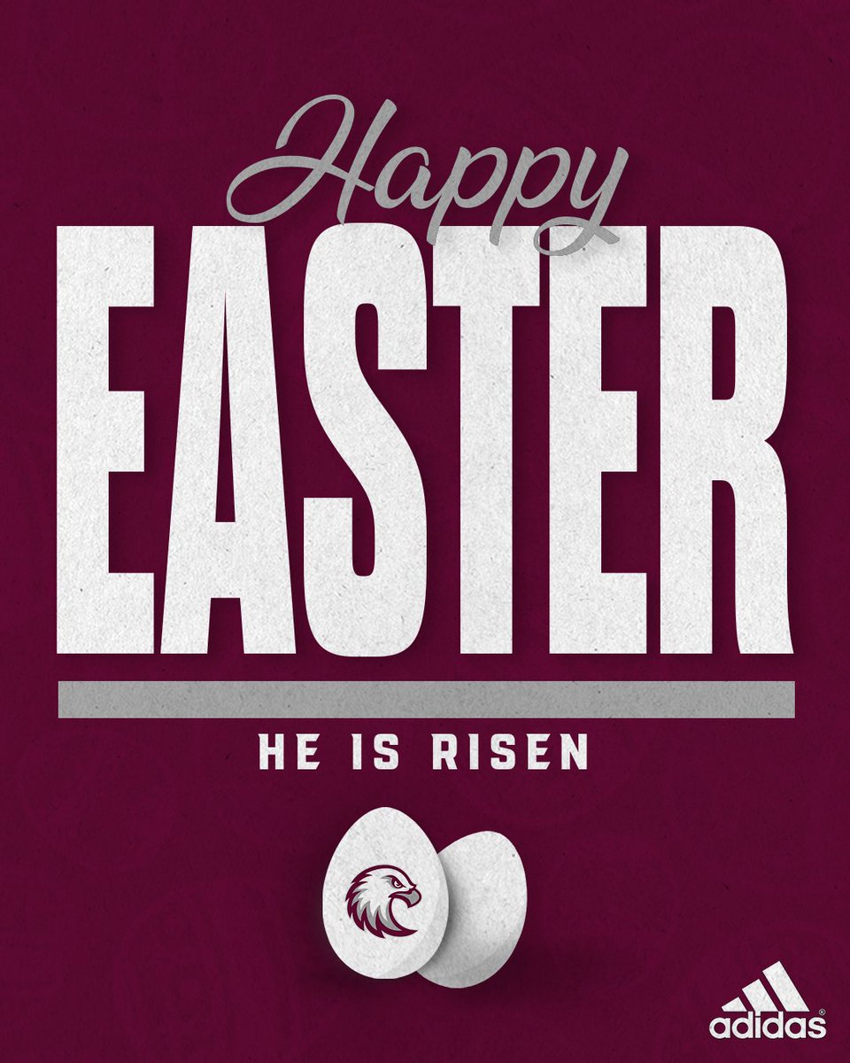 Augsburg Football tweet media