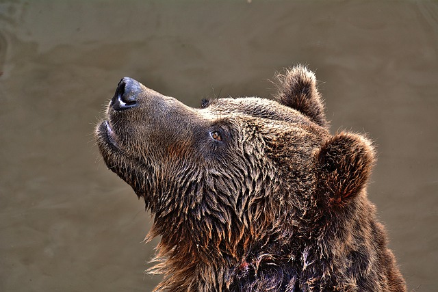 Ricky Young tweet media