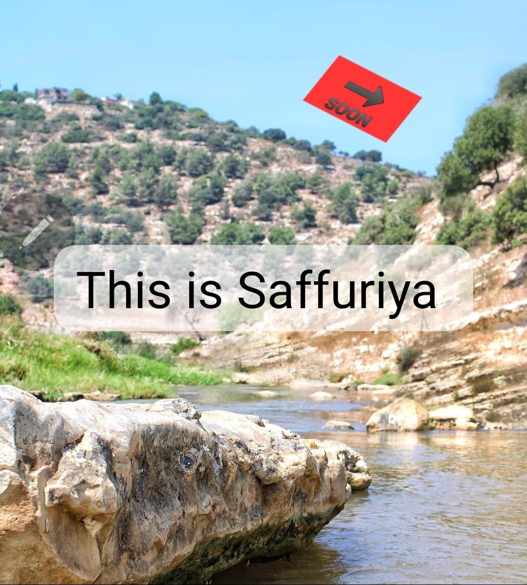 Taghrid Al-Mawed تغريد الموعد tweet media