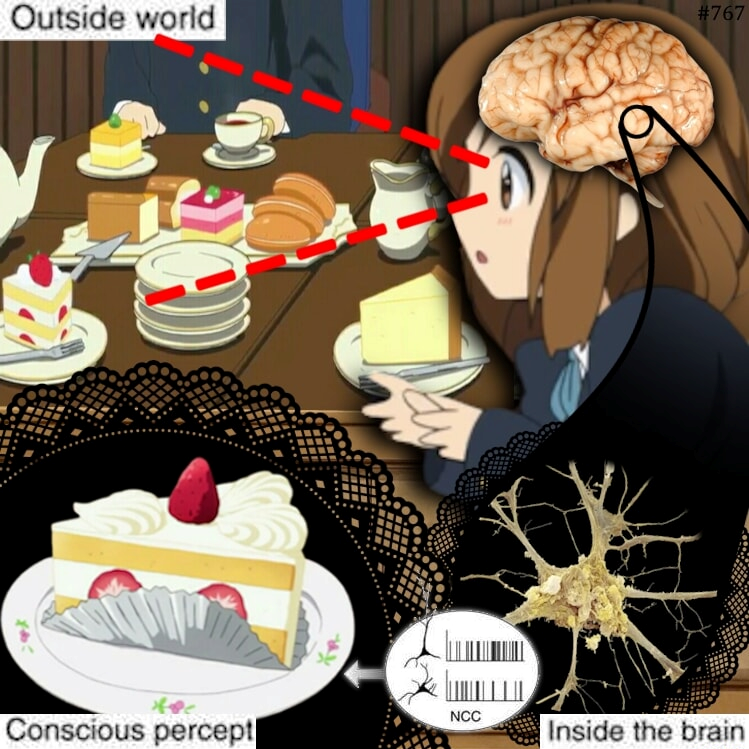 Rika Uindou tweet media