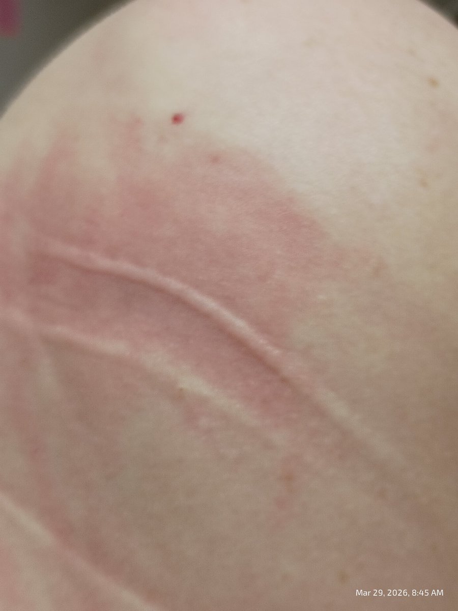 Crystal Shen tweet media