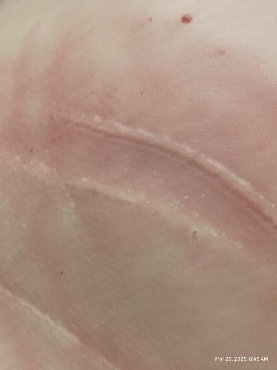 Crystal Shen tweet media