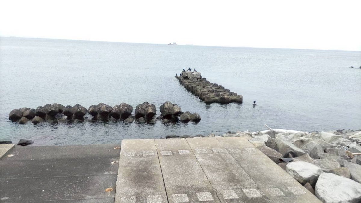 馬堀海岸に行った。海沿いにスーパー銭湯がある。
海を眺めながら歩いて帰る。
浅瀬にぐにゃっとした生き物が間隔をおいて、何匹も。
ウミウシ？　
あとで、調べたらアメフラシ。
生態に詳しくなった。
でかー。