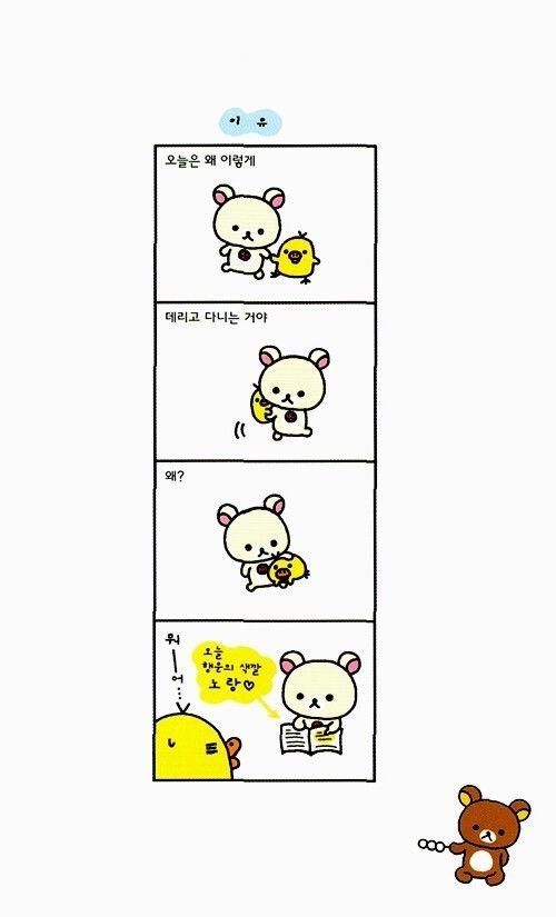 권필쌍 tweet media