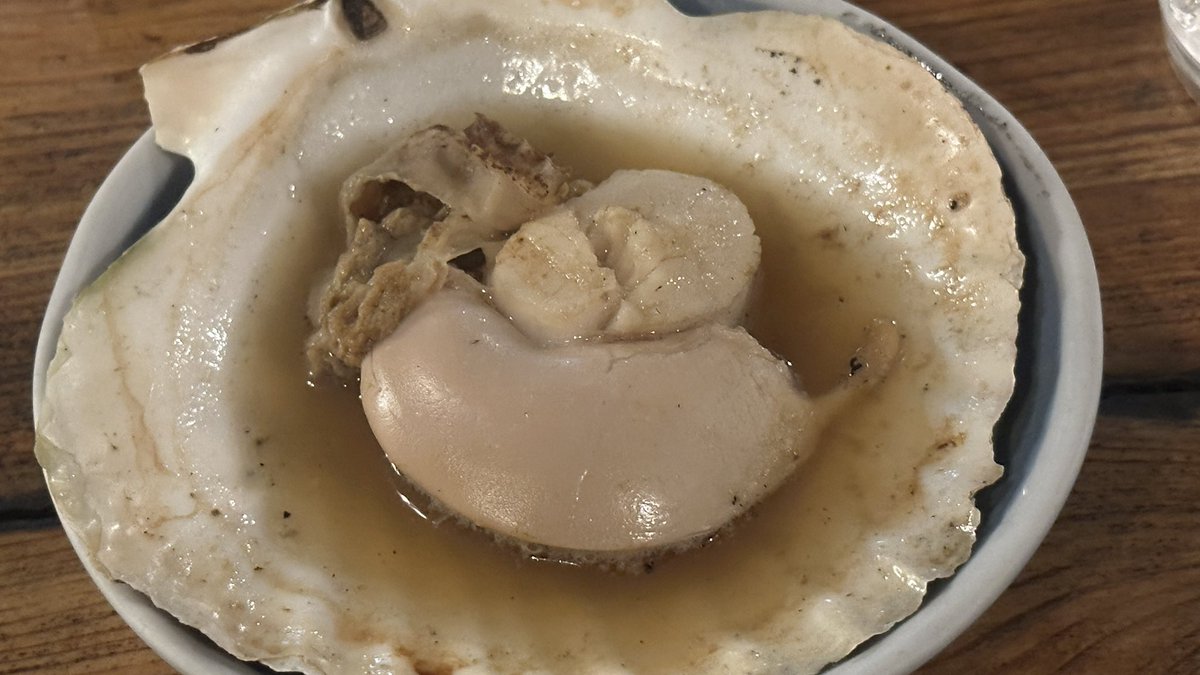 海鞘（🍍） tweet media