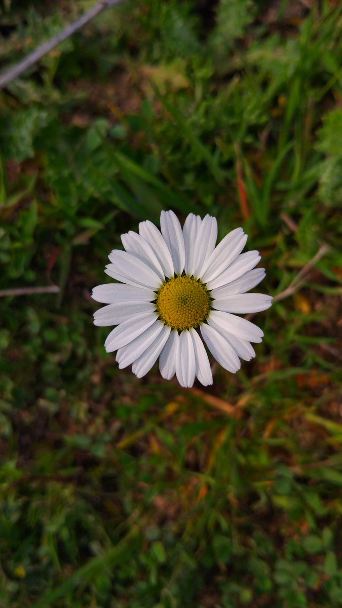 Yurt İyesi 🇹🇷 tweet media