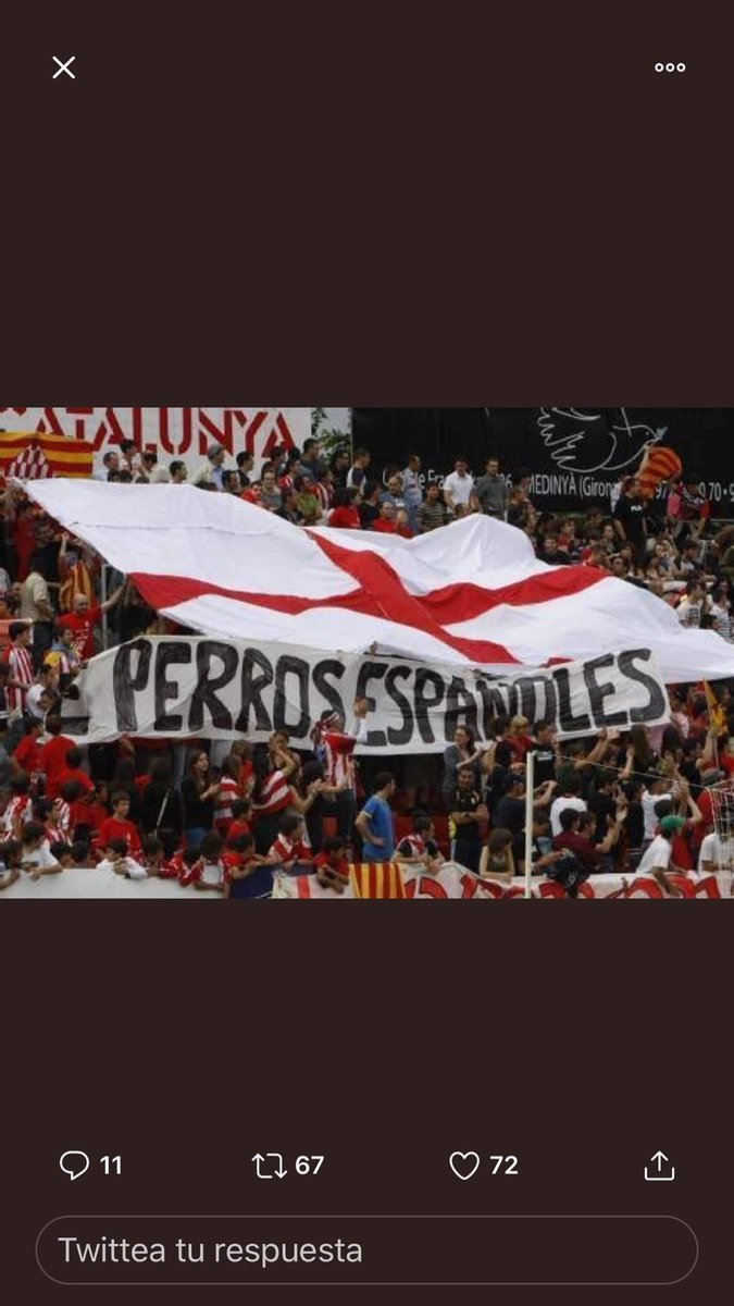 Capitán General de los Tercios tweet media