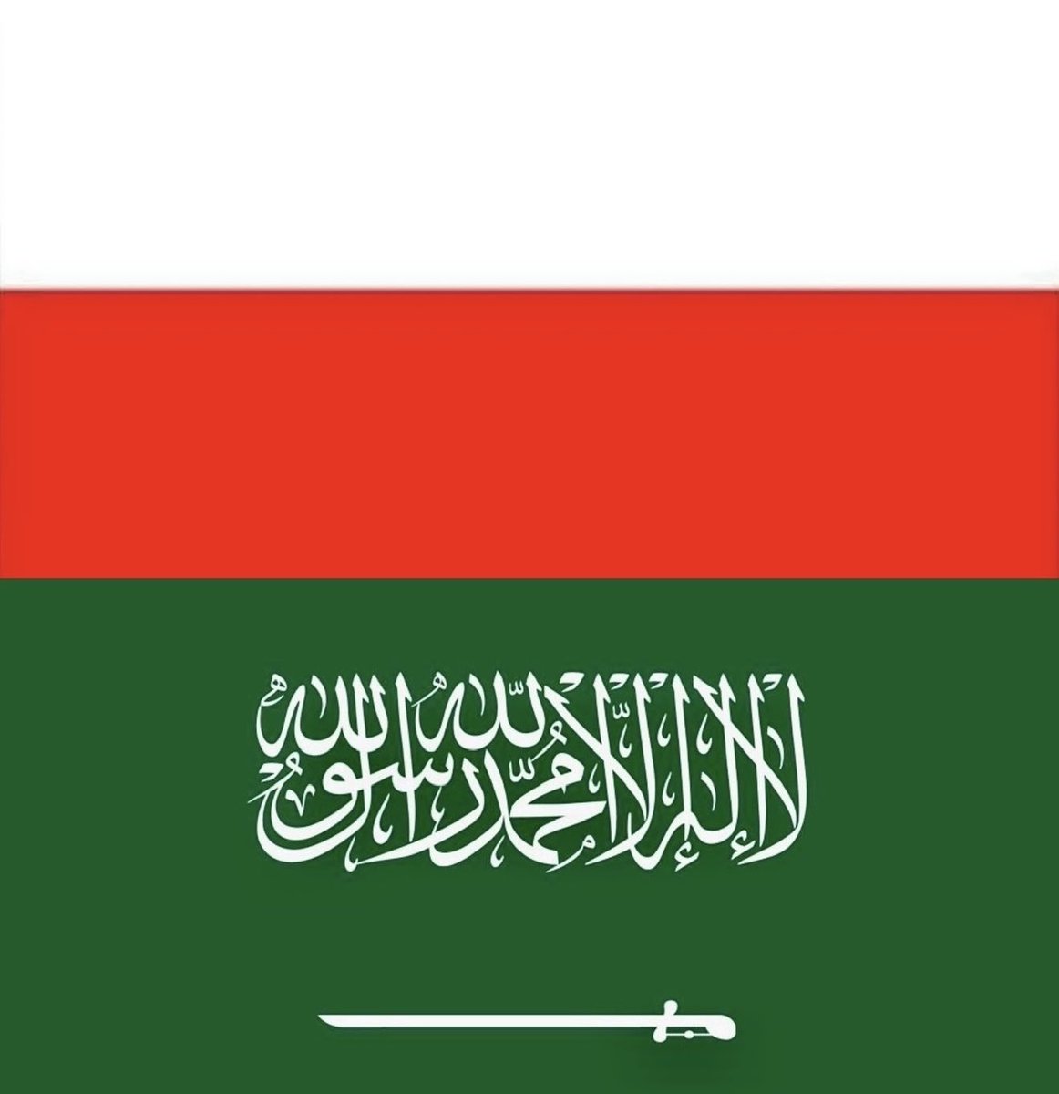 RobertRostek's tweet image. اجتماع آخر مع رئيس مجلس الأعمال السعودي البولندي، عبد الله أبو دبيل، ولكن هذه المرة في المكتب الجديد بالرياض.

نقاش هام حول التعاون السعودي البولندي في العديد من المجالات، لا سيما خلال هذه الفترة الصعبة.
🇵🇱🤝🇸🇦
@Abdullahdabeel 
#Poland
#SaudiArabia