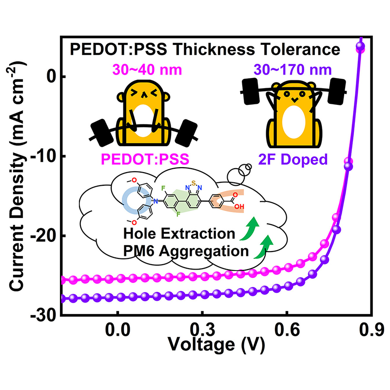 eScience Journal tweet media