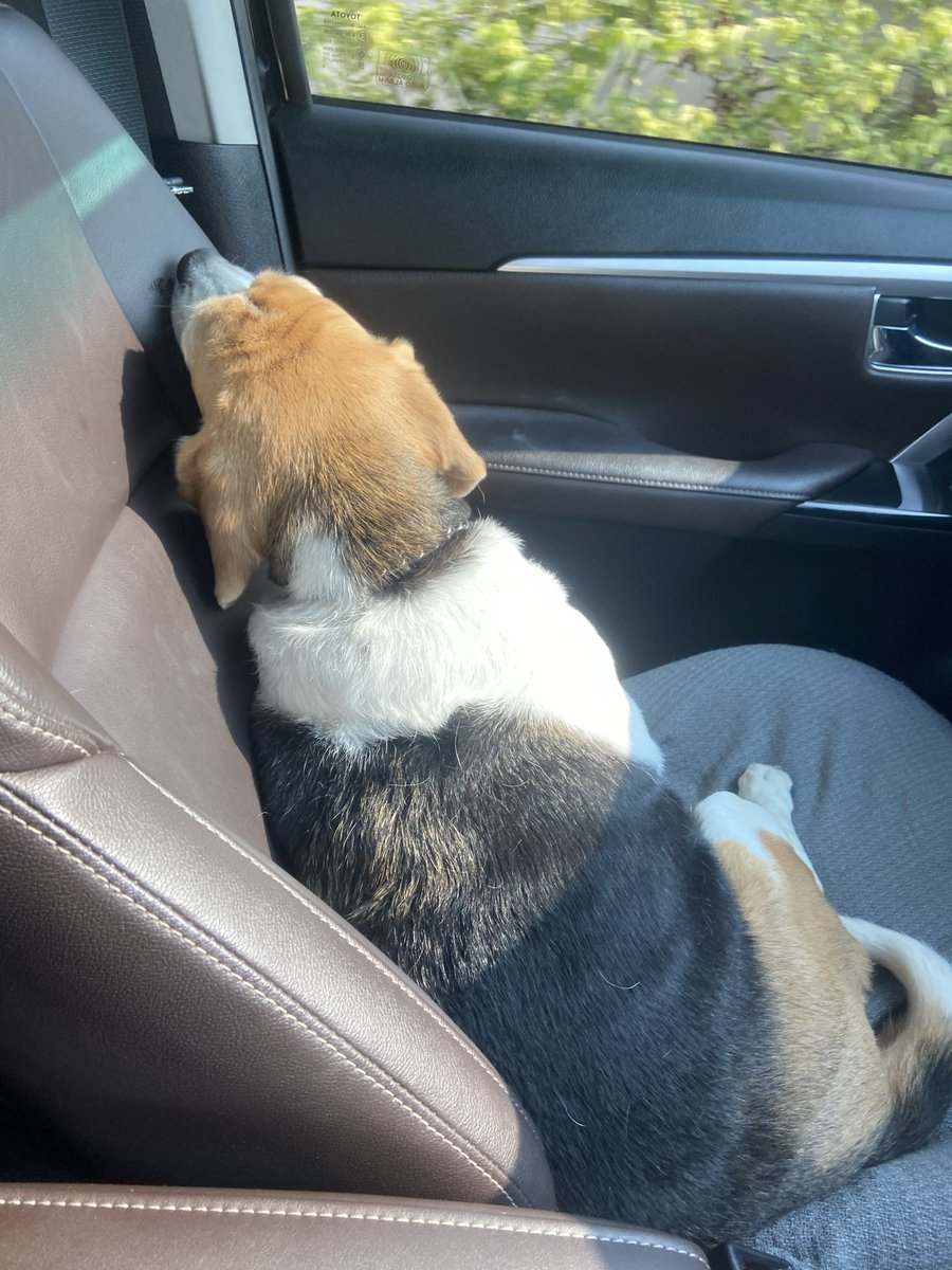 𝘼𝙣𝙜𝙚𝙡 𝘾𝙪𝙧𝙛𝙚𝙬®️ tweet media