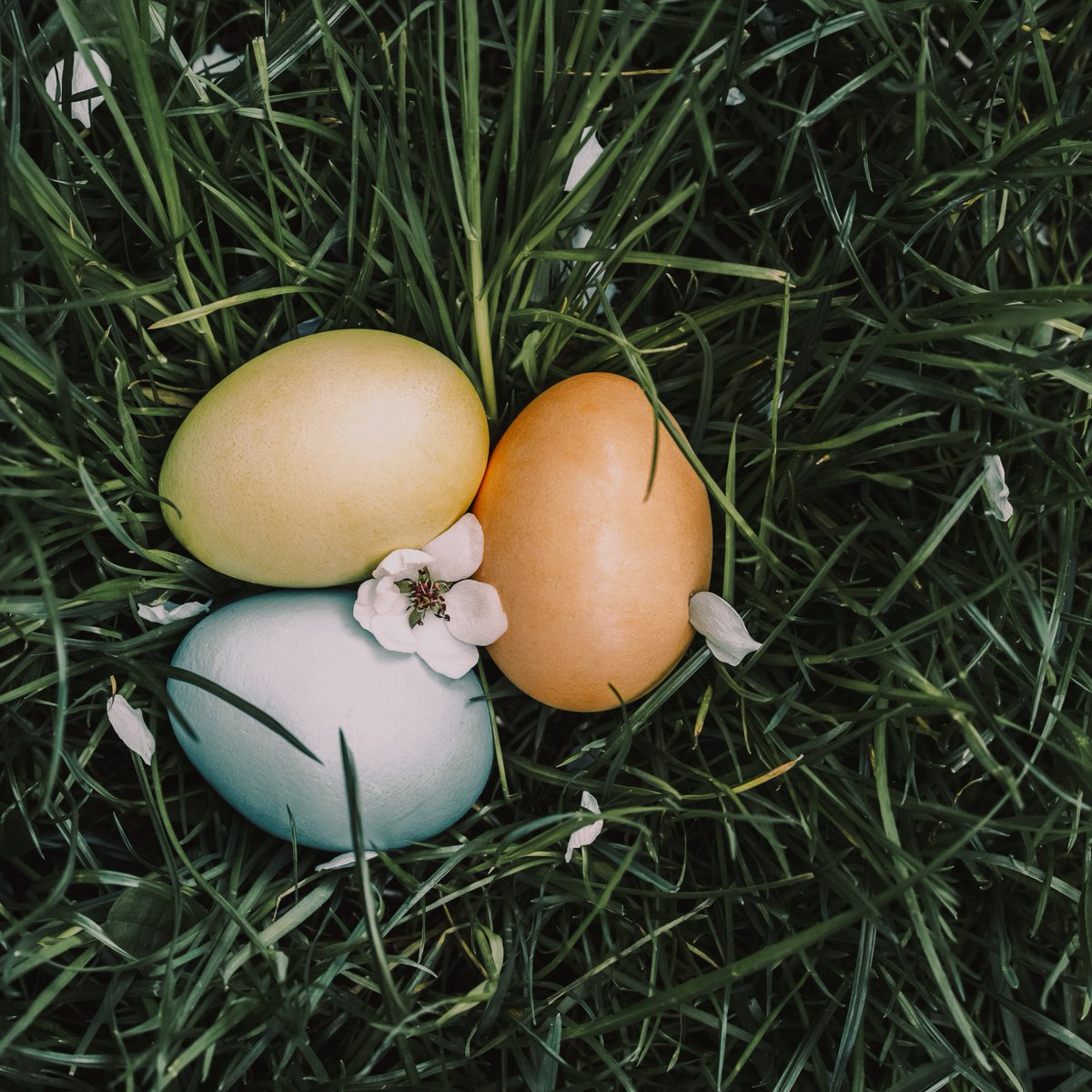 🐣 Easter Opening Update 🌷

Our office will be closed on Good Friday and Easter Monday for the Easter holiday period.

We’ll reopen on Tuesday 7 April.

Wishing all our customers and suppliers a very Happy Easter!

#HappyEaster #OpeningUpdate