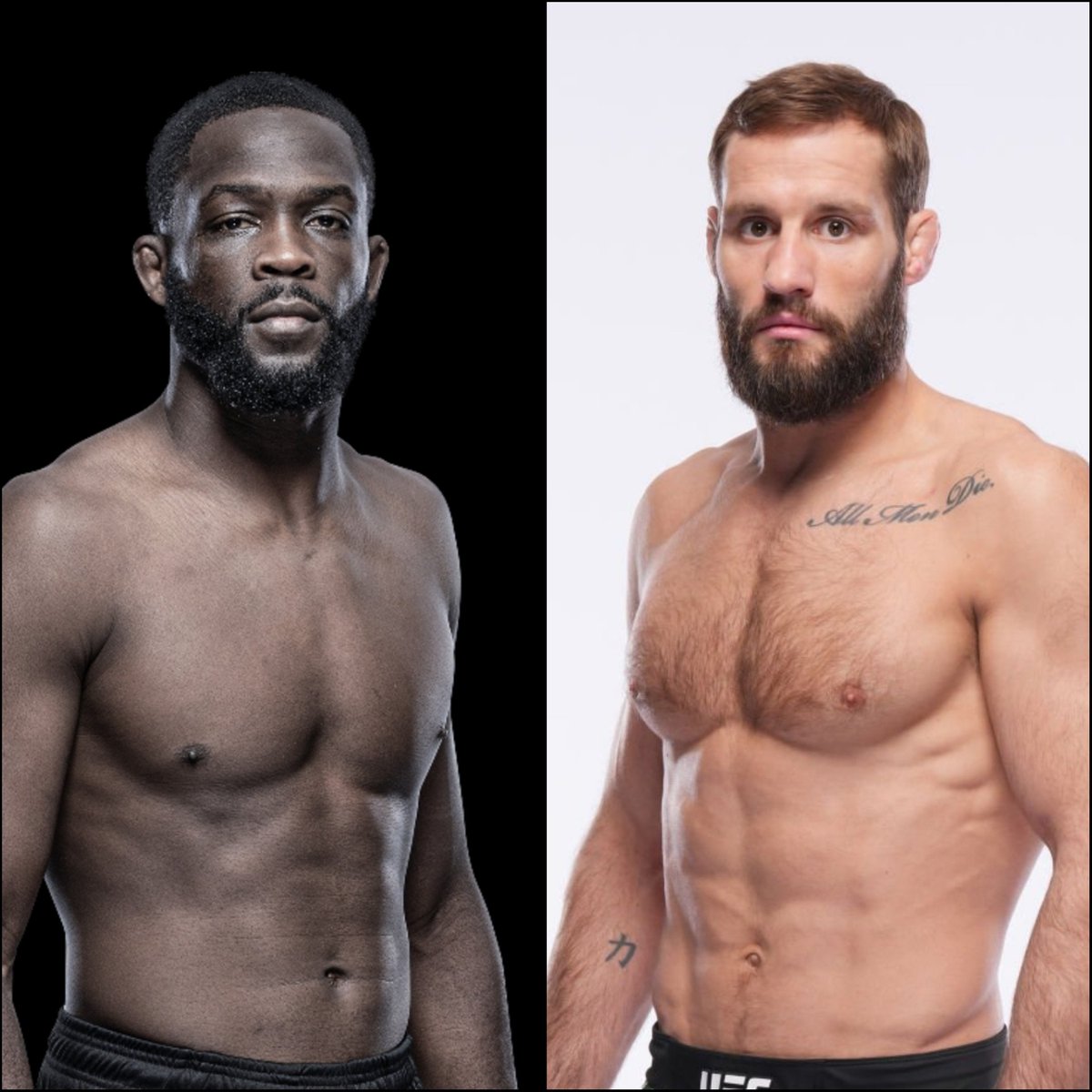 Marcel Dorff 🇳🇱🇮🇩 tweet media