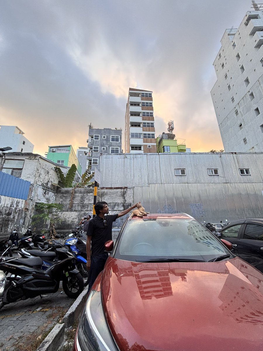 <a href="/MahzoomMajidh/">Abdulla Mahzoom Majid</a> Fav constituent from Male’ Magumathee Harakaaiyy 1.4.2026 ✨