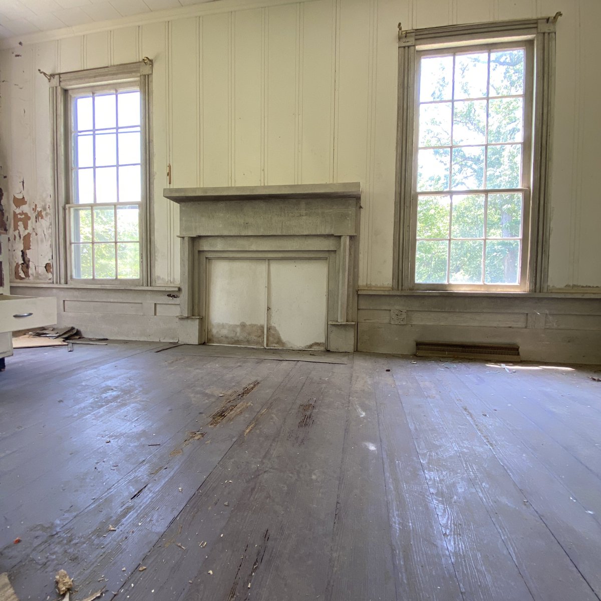 Diary of Abandonment tweet media