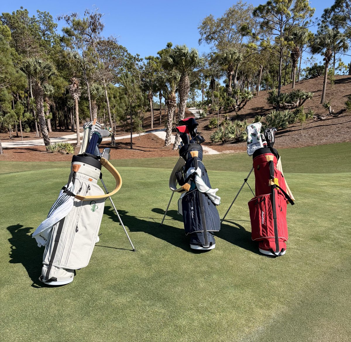 Evans Golf tweet media