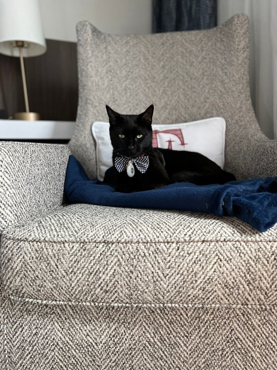 𝒱𝑒𝓇𝒶 𝐿𝑒𝑜𝓃𝑒 - DC & Amsterdam tweet media