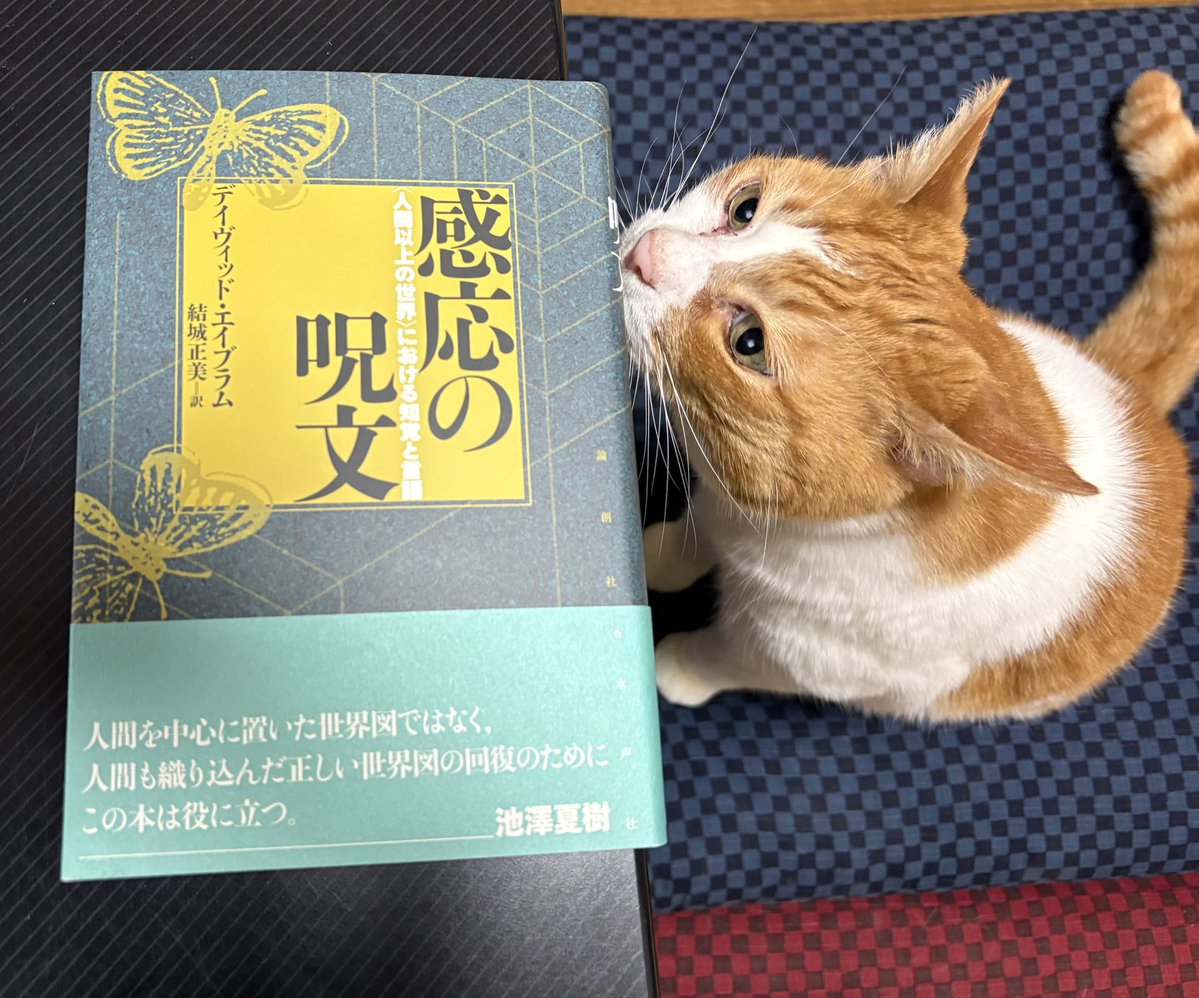 木村友祐 tweet media