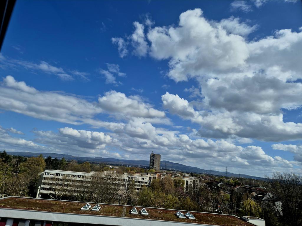 Rebel777 🇵🇰 tweet media