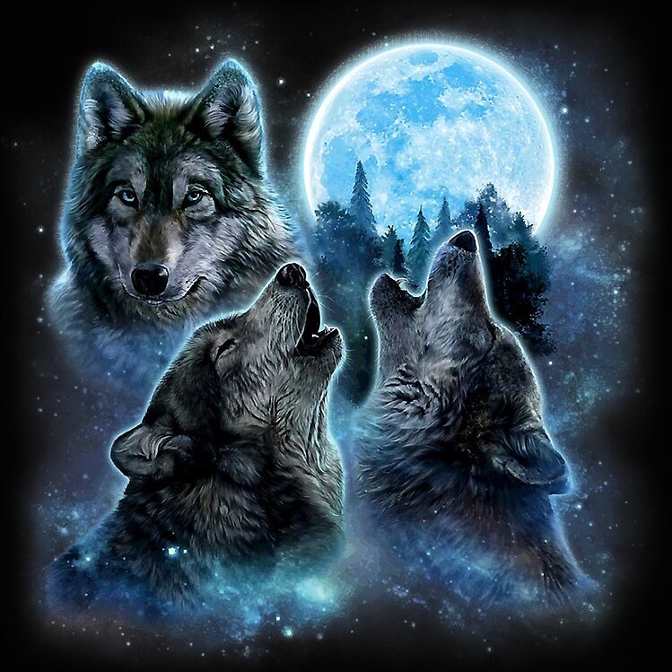 luisito luisez tweet media