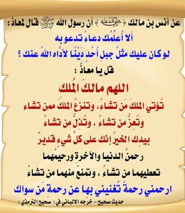 أُفُـق tweet media