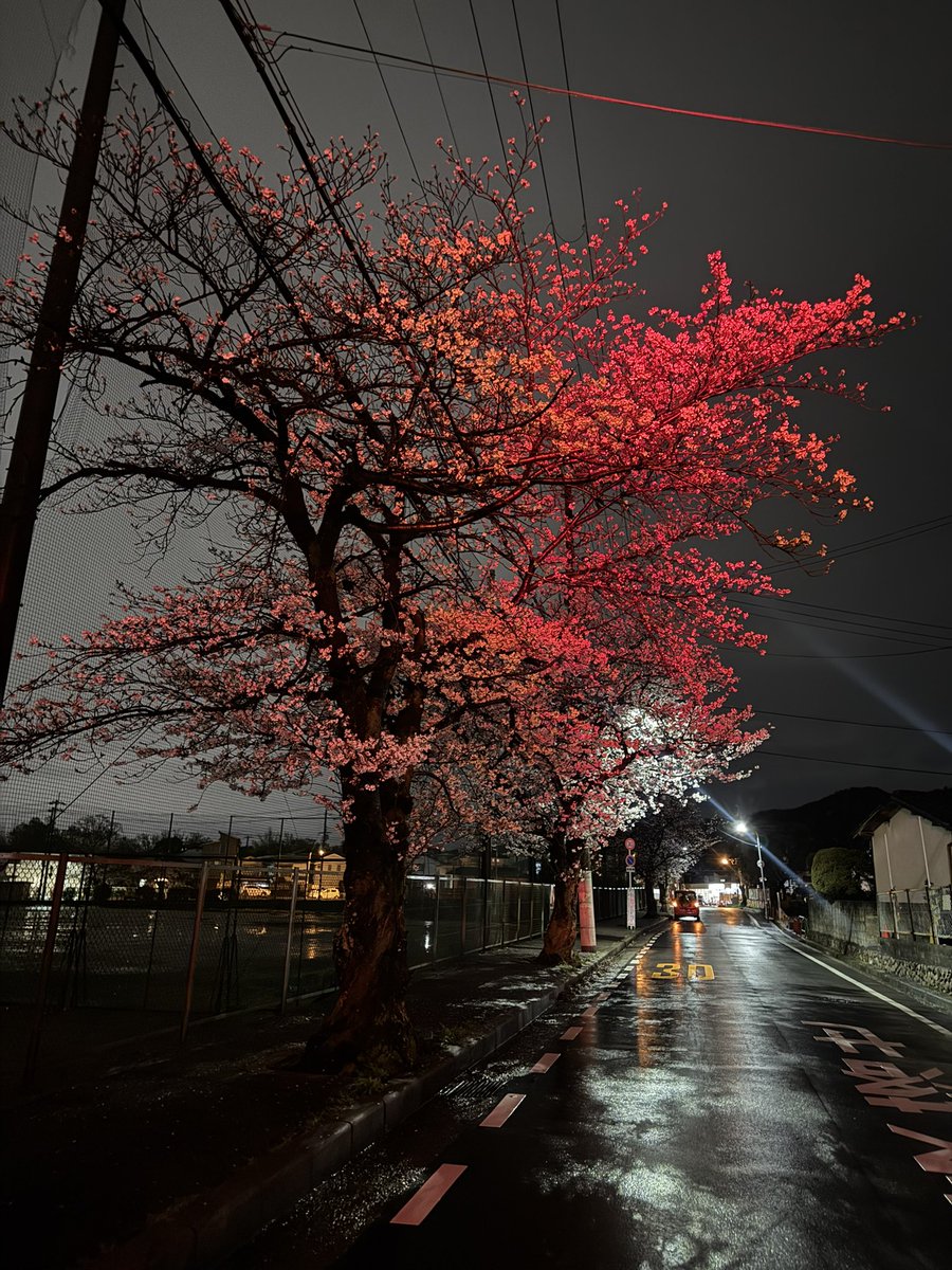 龍彦R TOMOKI tweet media