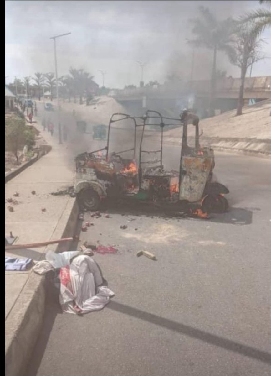 Nelson Collins tweet media