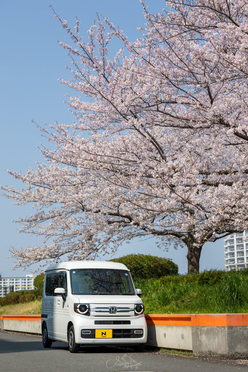 双子座のサガ…. ݁₊ ⊹ . ݁ ⟡🎄☃️❄🧑🎄🎄 ݁ . ⊹ ₊ ݁. tweet media