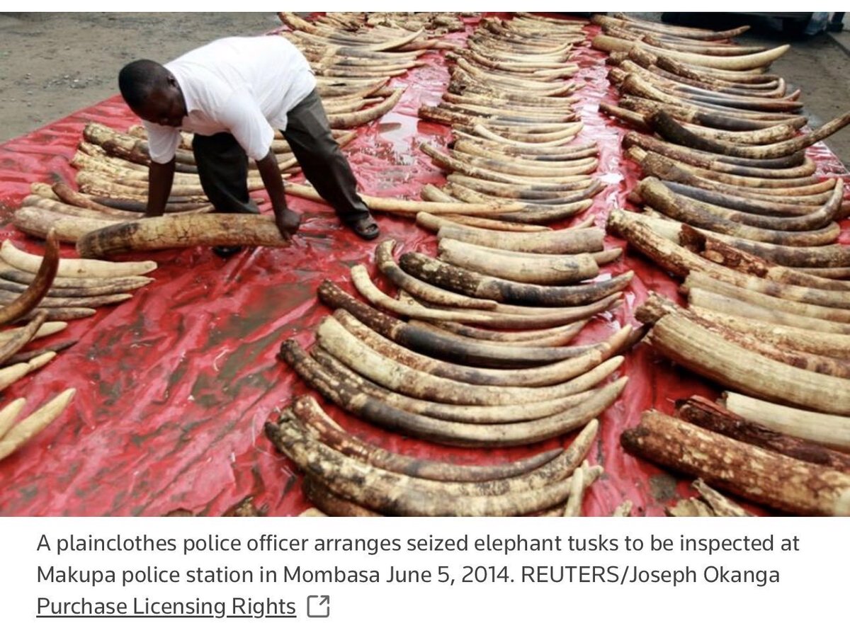 Abongile tweet media