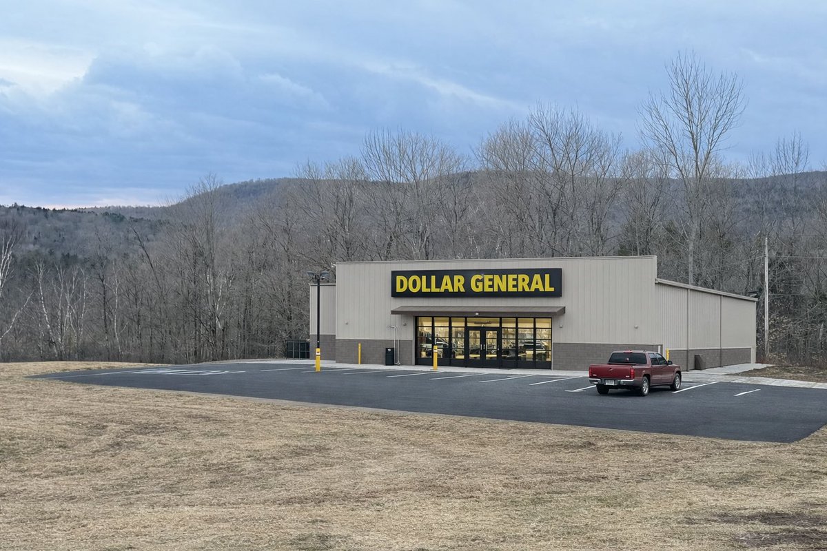 Old Hollow Tree tweet media