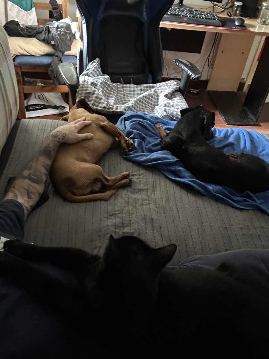 7ig4s's tweet photo. el amor por mis panas es lo que me mantiene cuerdo y con vida. Ellos son todo en mi día a día, en mi vida entera. https://t.co/gWdfXlGS4F