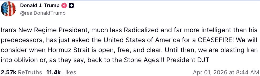 O Gato Bonito tweet media