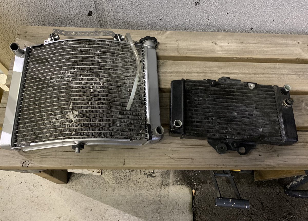 ドミンゴ tweet media