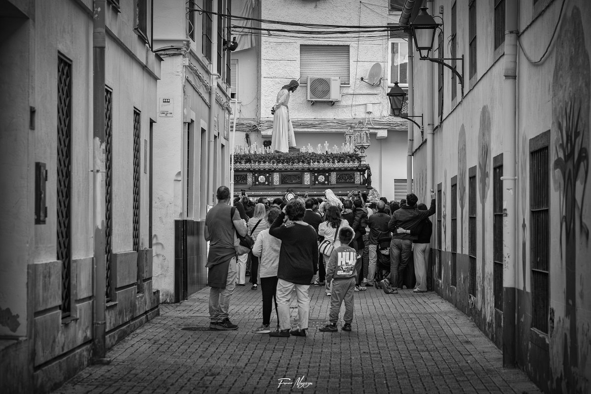 Francisco Mayorga 📷 tweet media