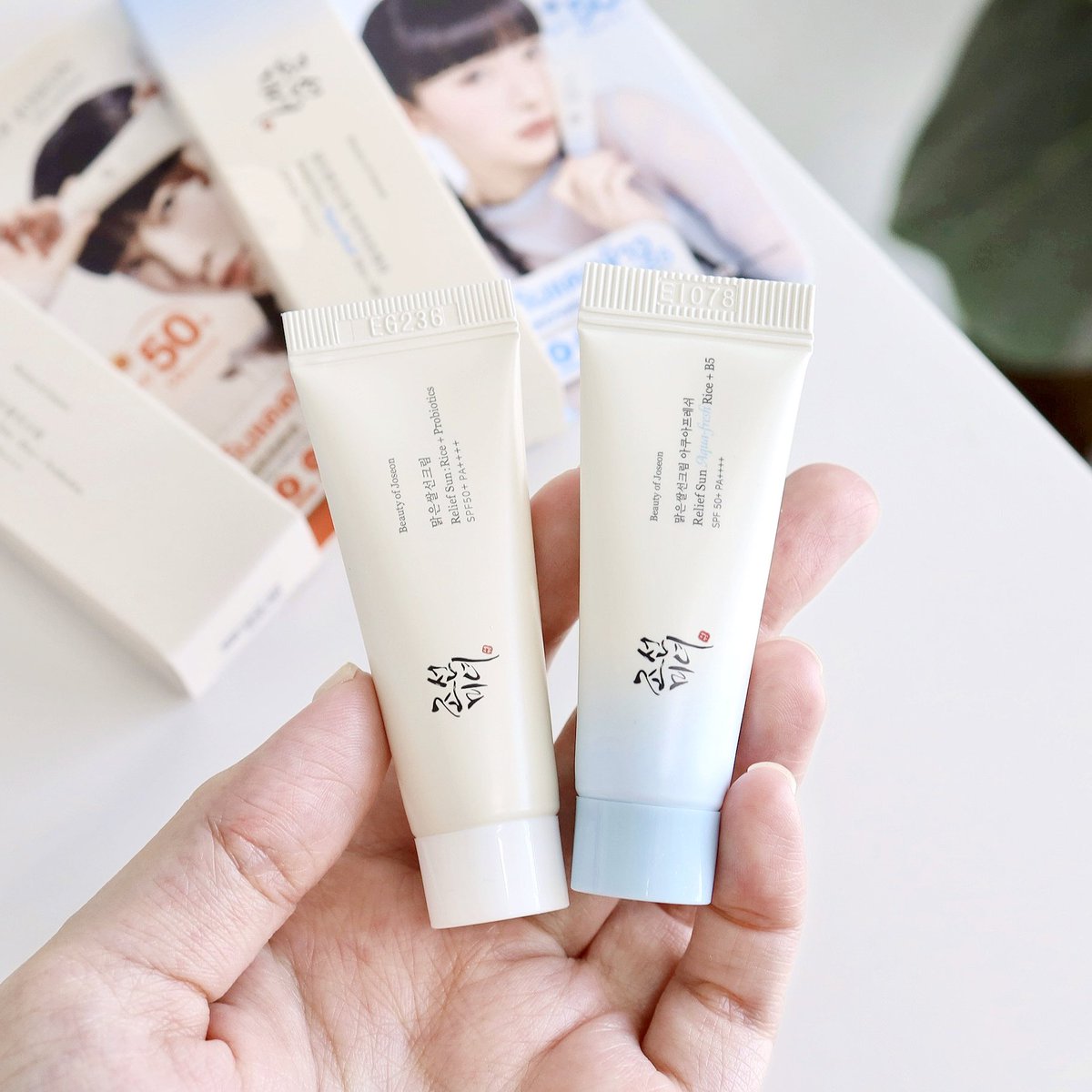 กัฟ ᴥ tweet media