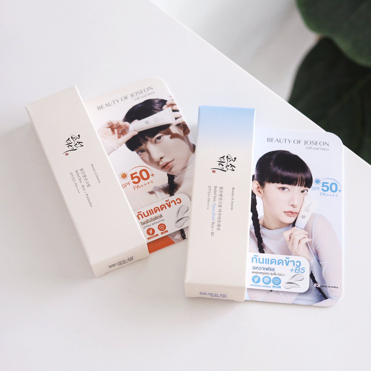 กัฟ ᴥ tweet media