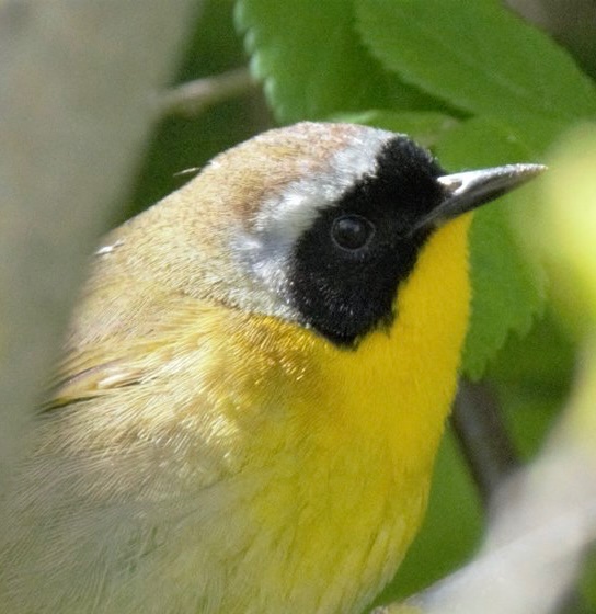 Nina Tomlinson tweet media