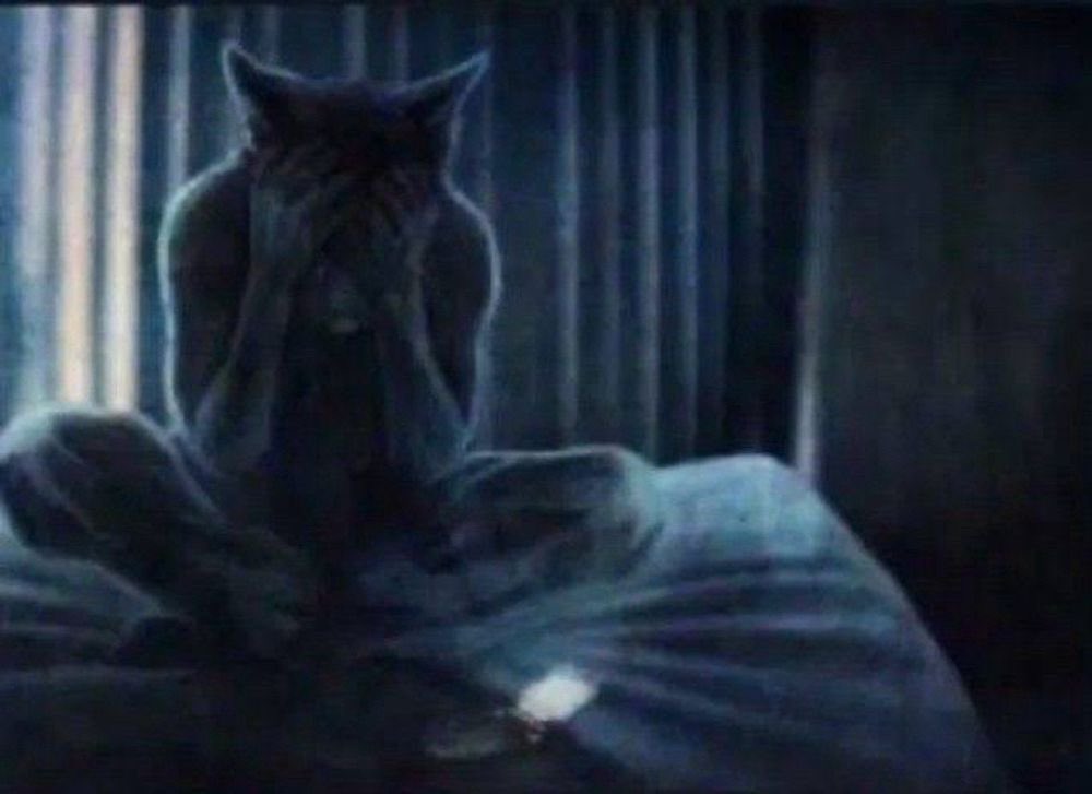 maira 🦇 tweet media