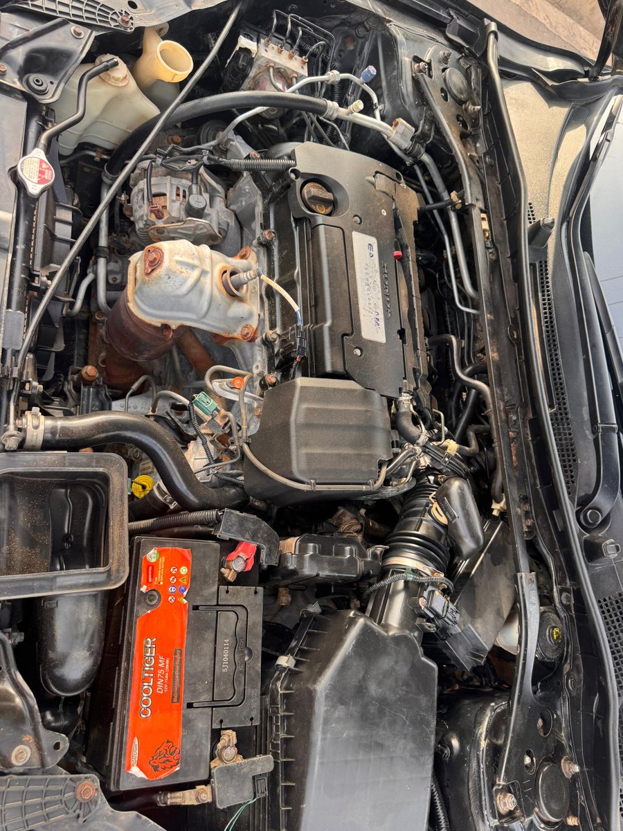 Gucho Choco Vichis tweet media