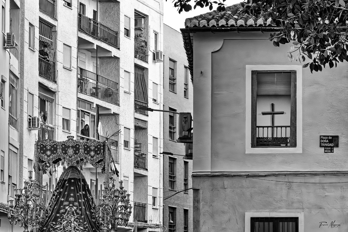 Francisco Mayorga 📷 tweet media