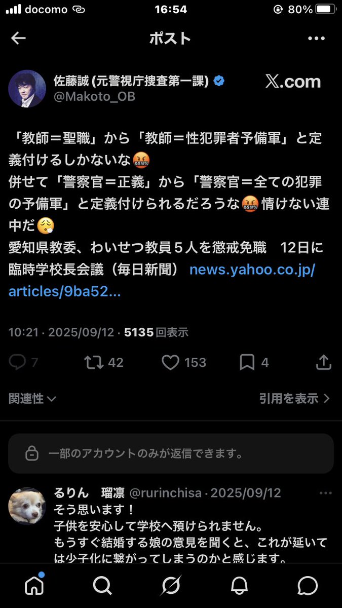 Any Cat Lover 6 tweet media